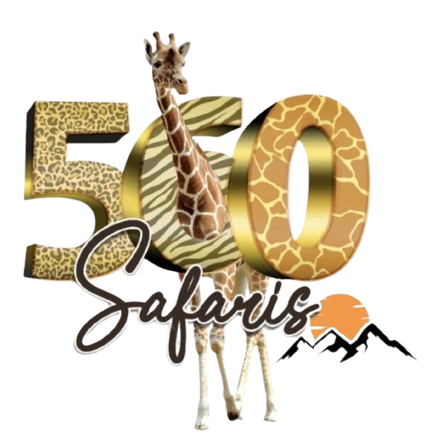 560 Safaris